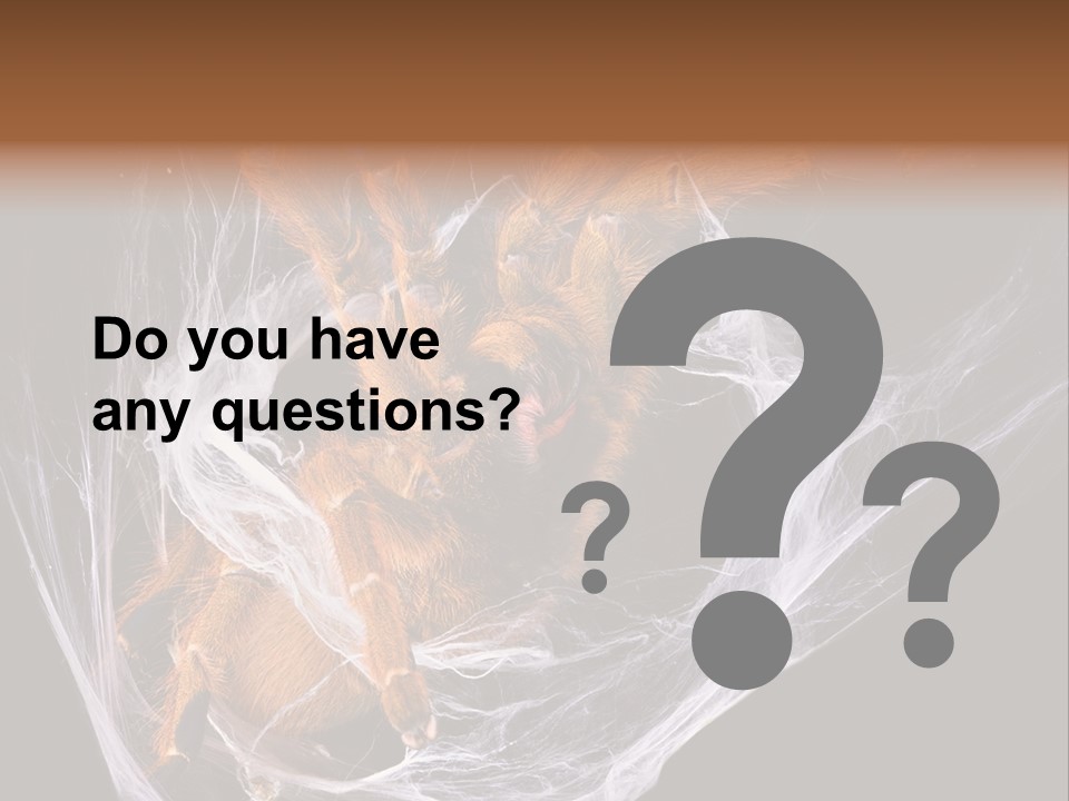 Animal Nature Nobody PowerPoint Template