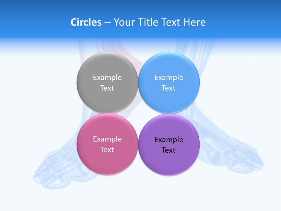 Foot Xray Ankle PowerPoint Template