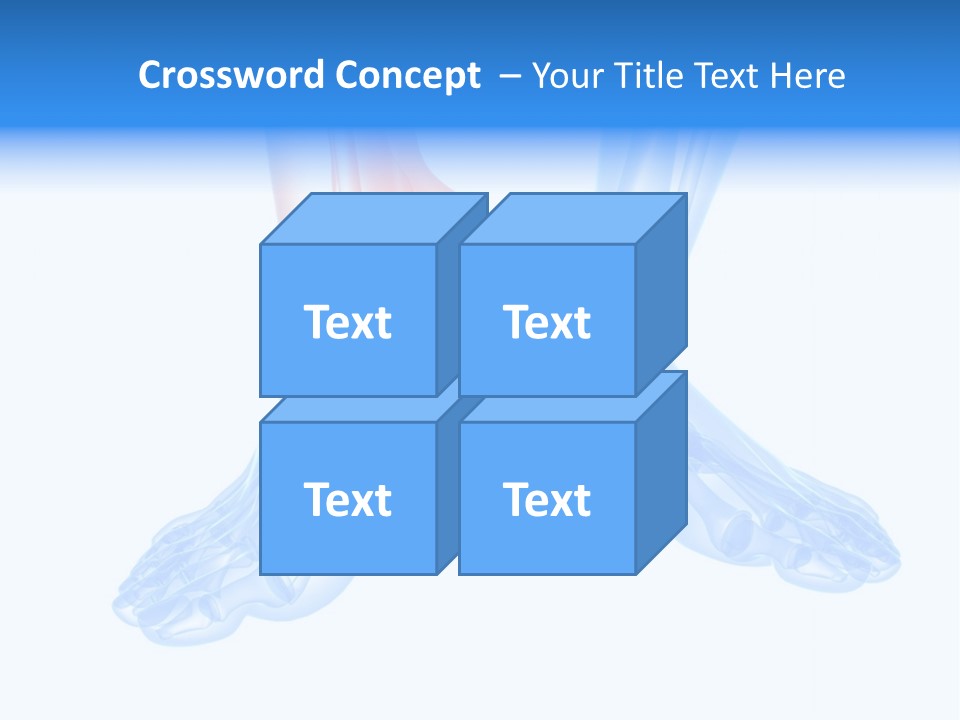 Foot Xray Ankle PowerPoint Template