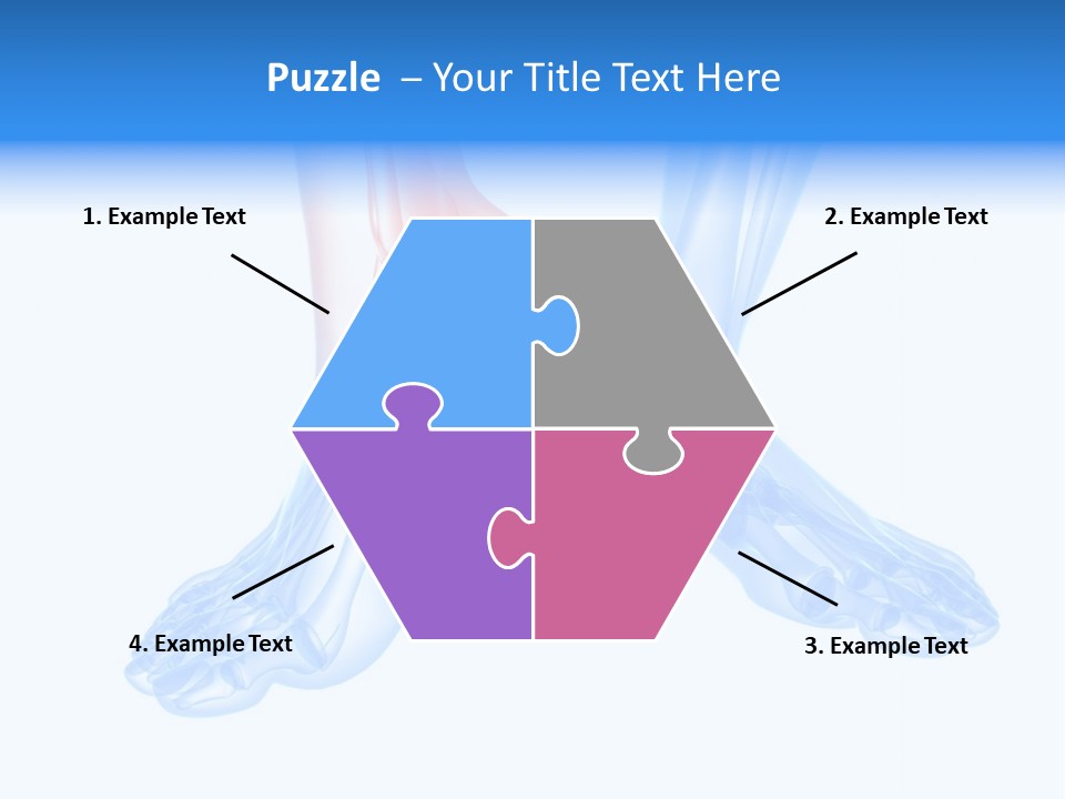Foot Xray Ankle PowerPoint Template