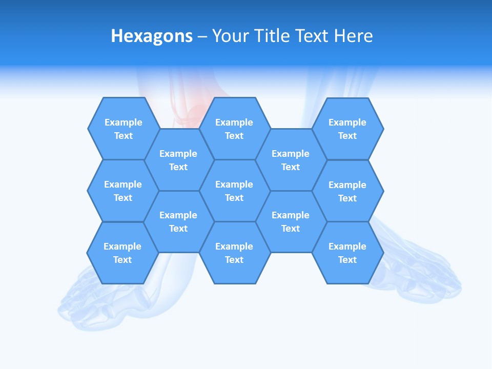 Foot Xray Ankle PowerPoint Template
