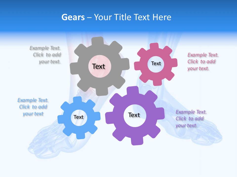 Foot Xray Ankle PowerPoint Template