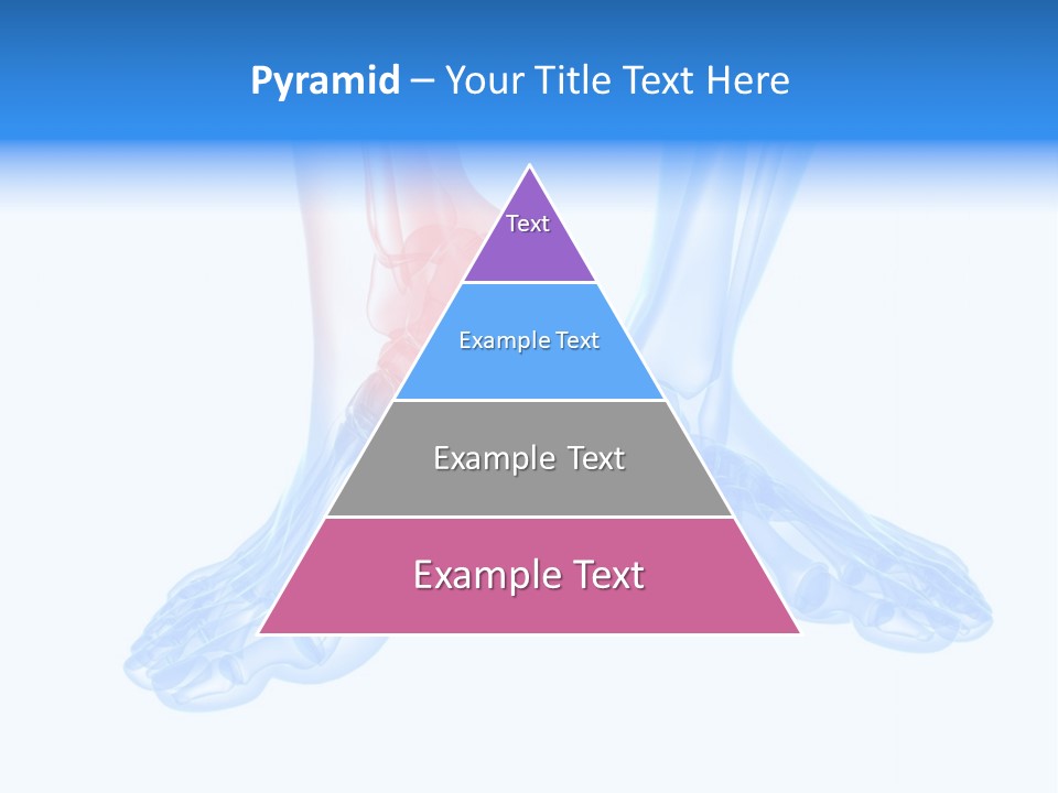 Foot Xray Ankle PowerPoint Template