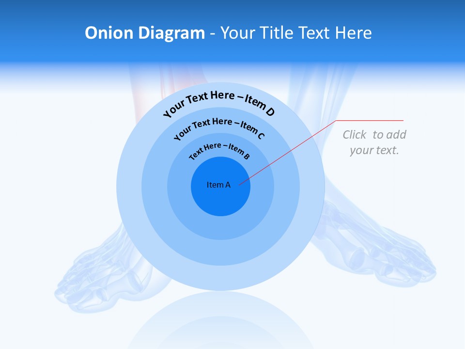 Foot Xray Ankle PowerPoint Template