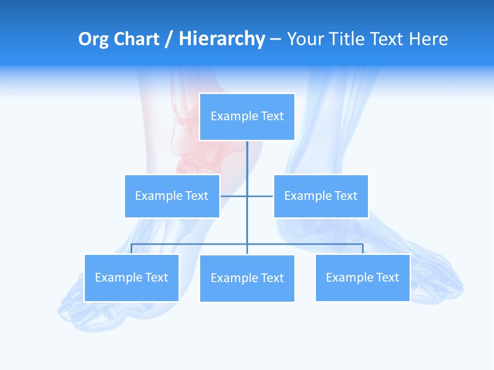 Foot Xray Ankle PowerPoint Template