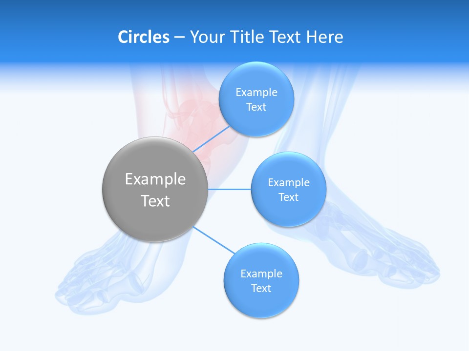 Foot Xray Ankle PowerPoint Template