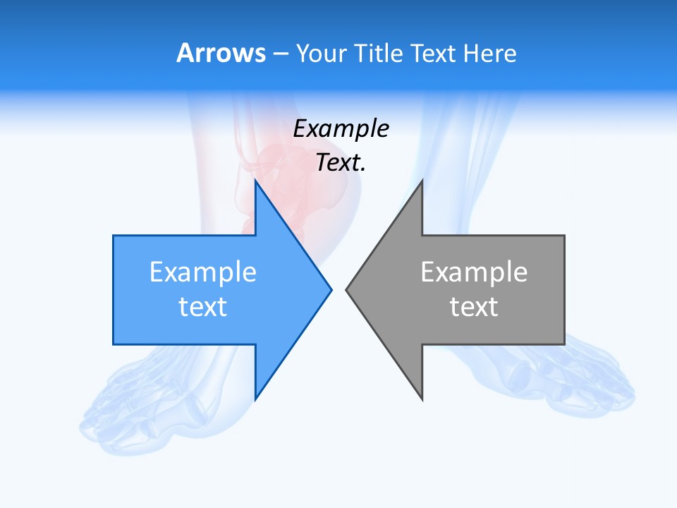 Foot Xray Ankle PowerPoint Template