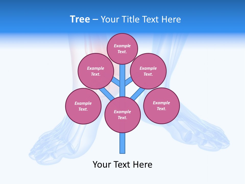 Foot Xray Ankle PowerPoint Template