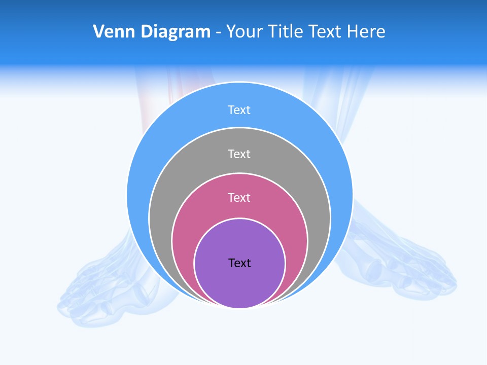 Foot Xray Ankle PowerPoint Template