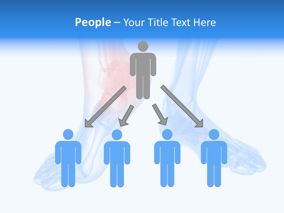 Foot Xray Ankle PowerPoint Template