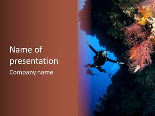 Wildlife Adventure Swimming PowerPoint Template