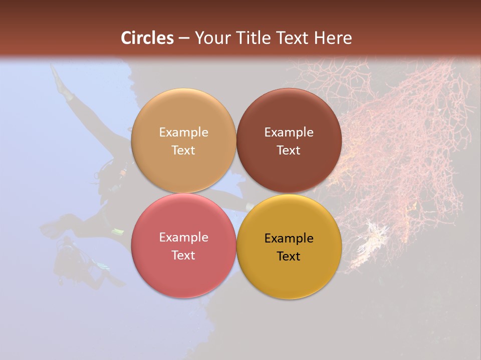 Wildlife Adventure Swimming PowerPoint Template