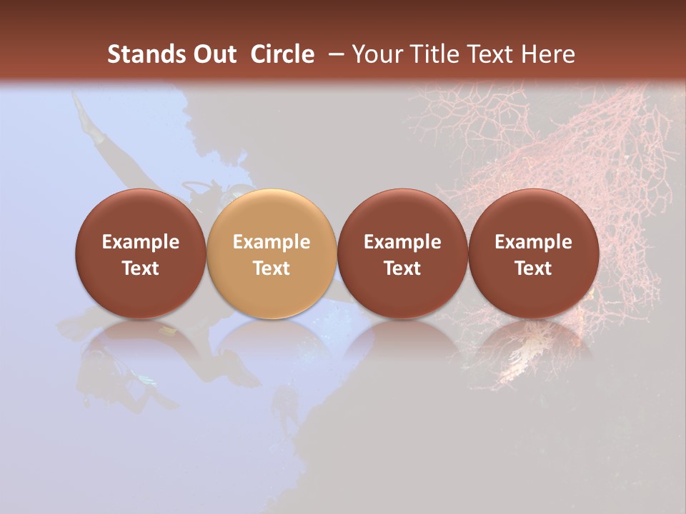 Wildlife Adventure Swimming PowerPoint Template