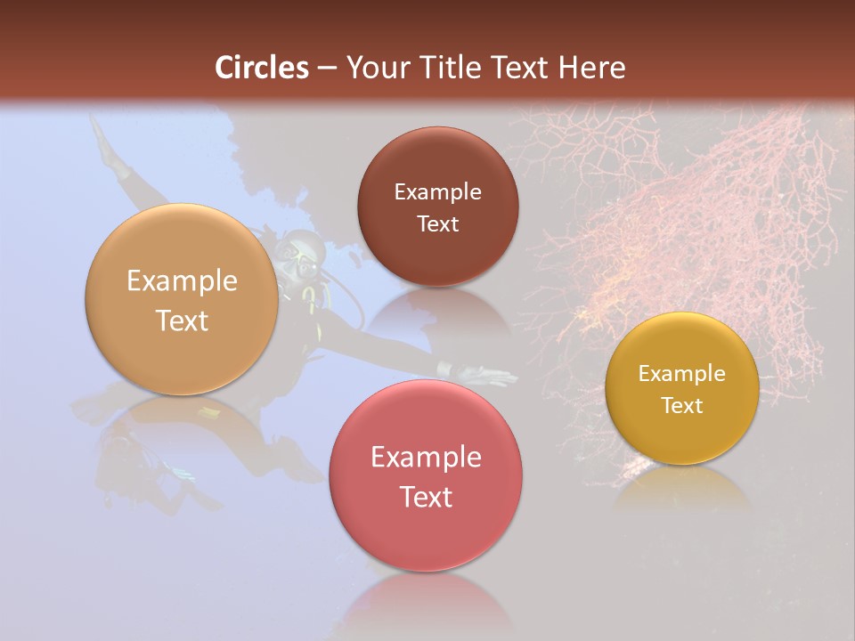 Wildlife Adventure Swimming PowerPoint Template