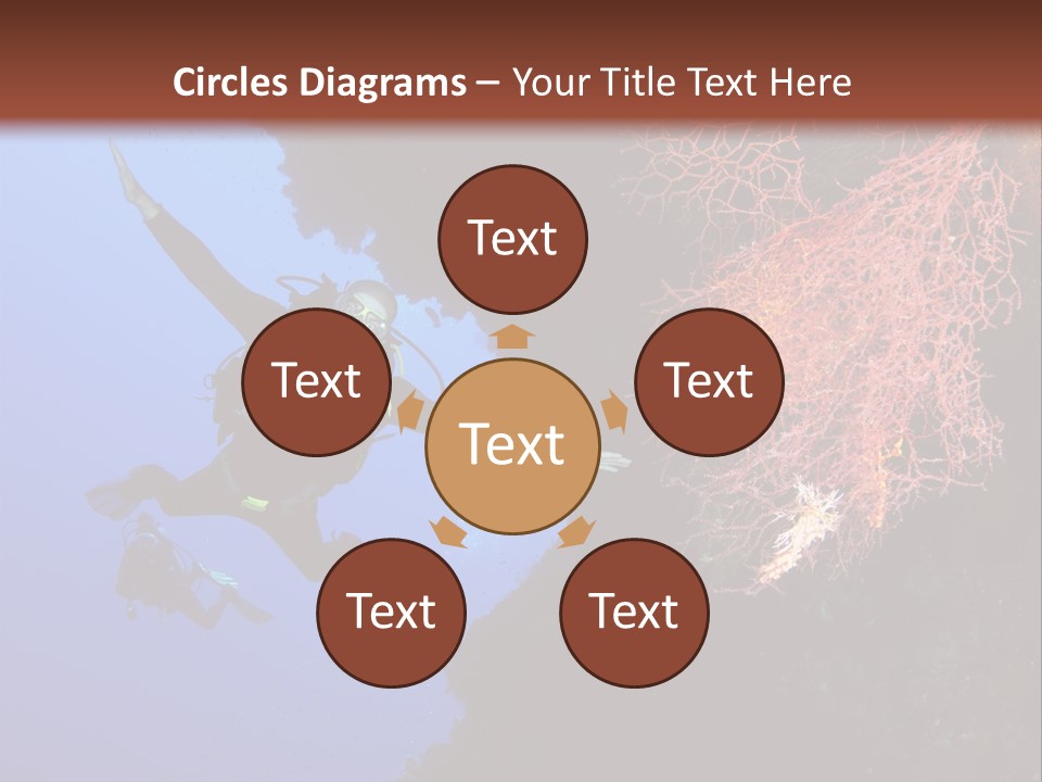 Wildlife Adventure Swimming PowerPoint Template