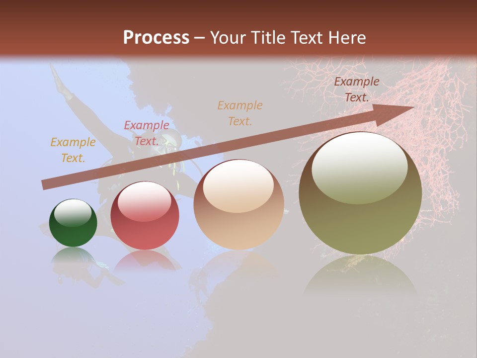 Wildlife Adventure Swimming PowerPoint Template