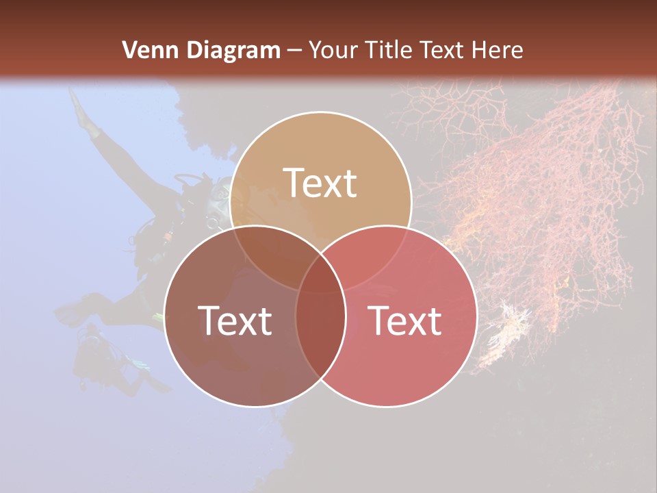 Wildlife Adventure Swimming PowerPoint Template