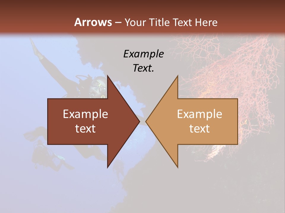 Wildlife Adventure Swimming PowerPoint Template