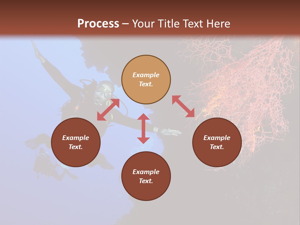 Wildlife Adventure Swimming PowerPoint Template