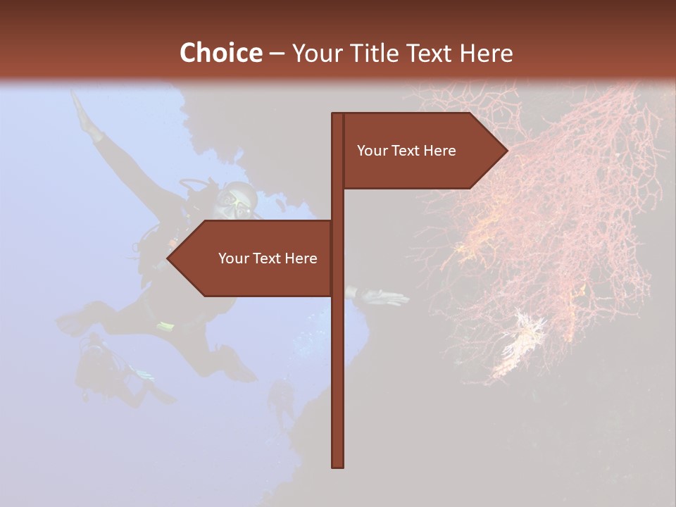 Wildlife Adventure Swimming PowerPoint Template