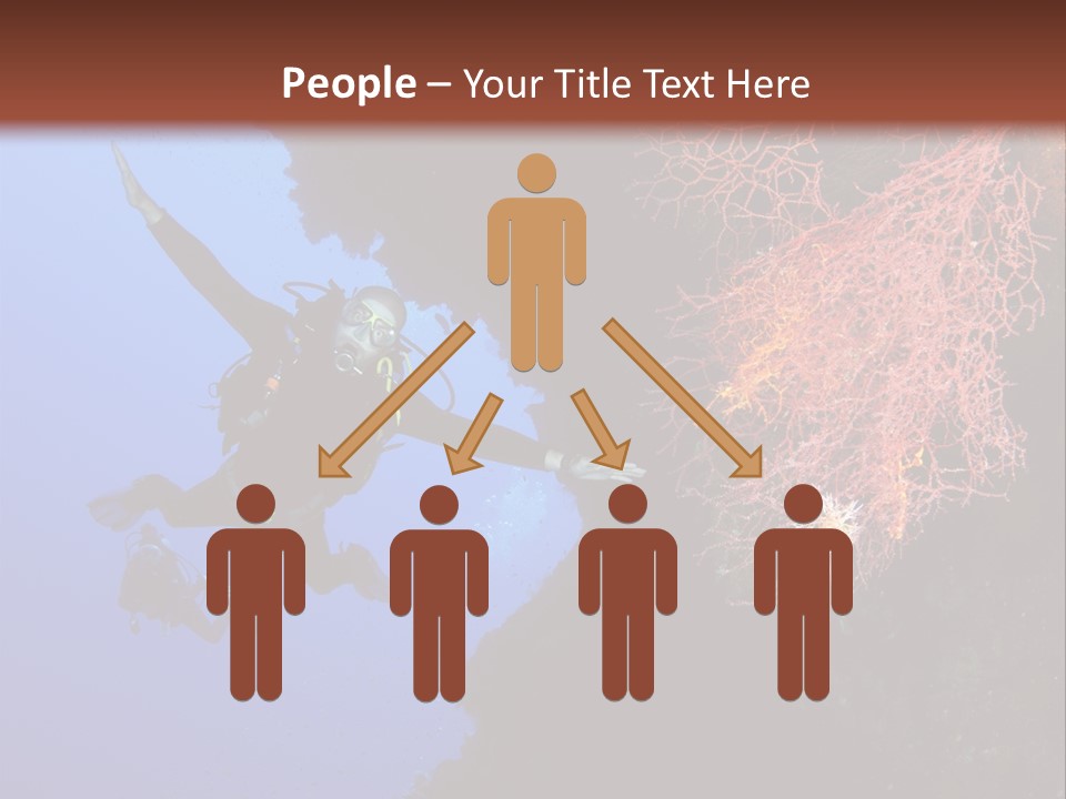 Wildlife Adventure Swimming PowerPoint Template