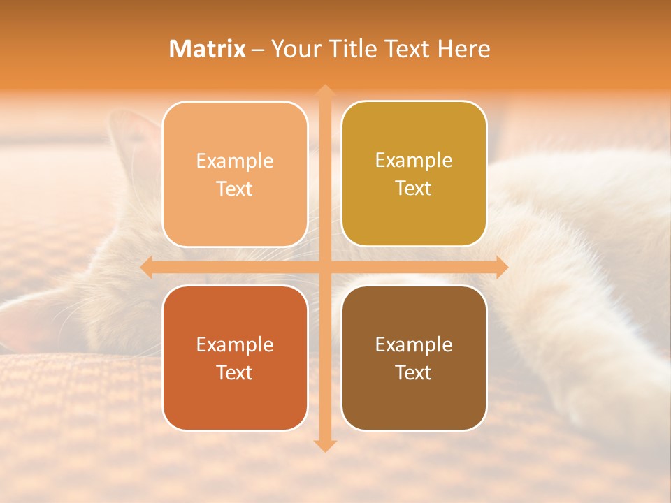 Yellow Divan Fur PowerPoint Template