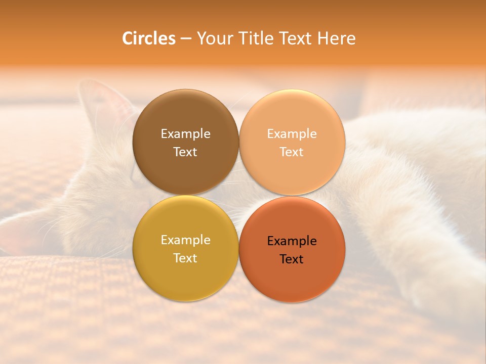 Yellow Divan Fur PowerPoint Template