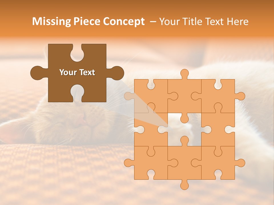 Yellow Divan Fur PowerPoint Template