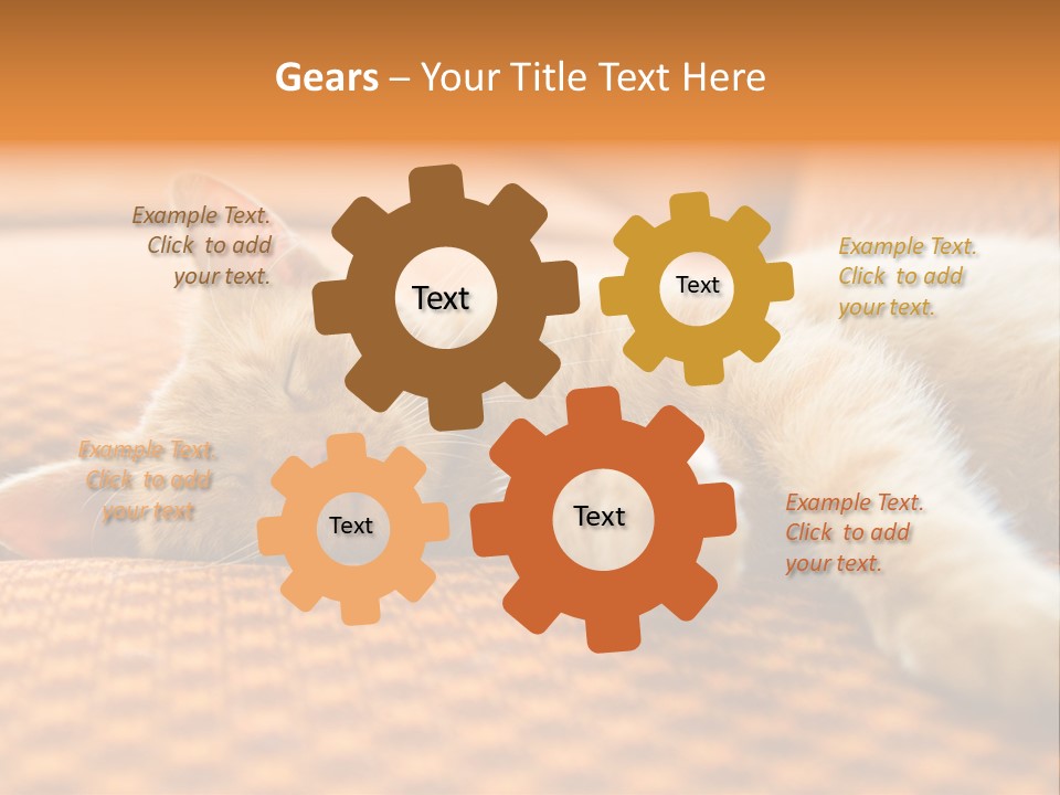 Yellow Divan Fur PowerPoint Template