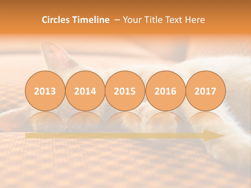 Yellow Divan Fur PowerPoint Template