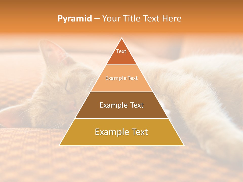 Yellow Divan Fur PowerPoint Template