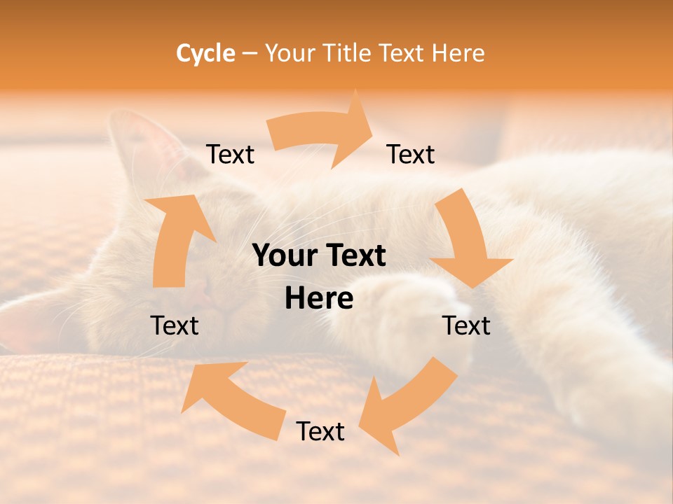 Yellow Divan Fur PowerPoint Template