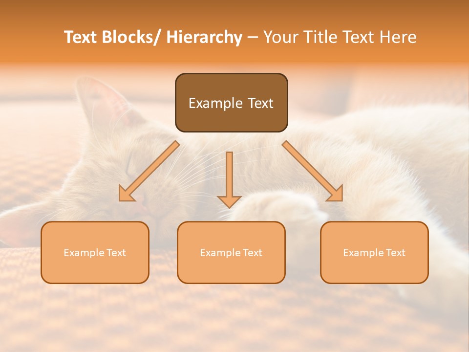 Yellow Divan Fur PowerPoint Template