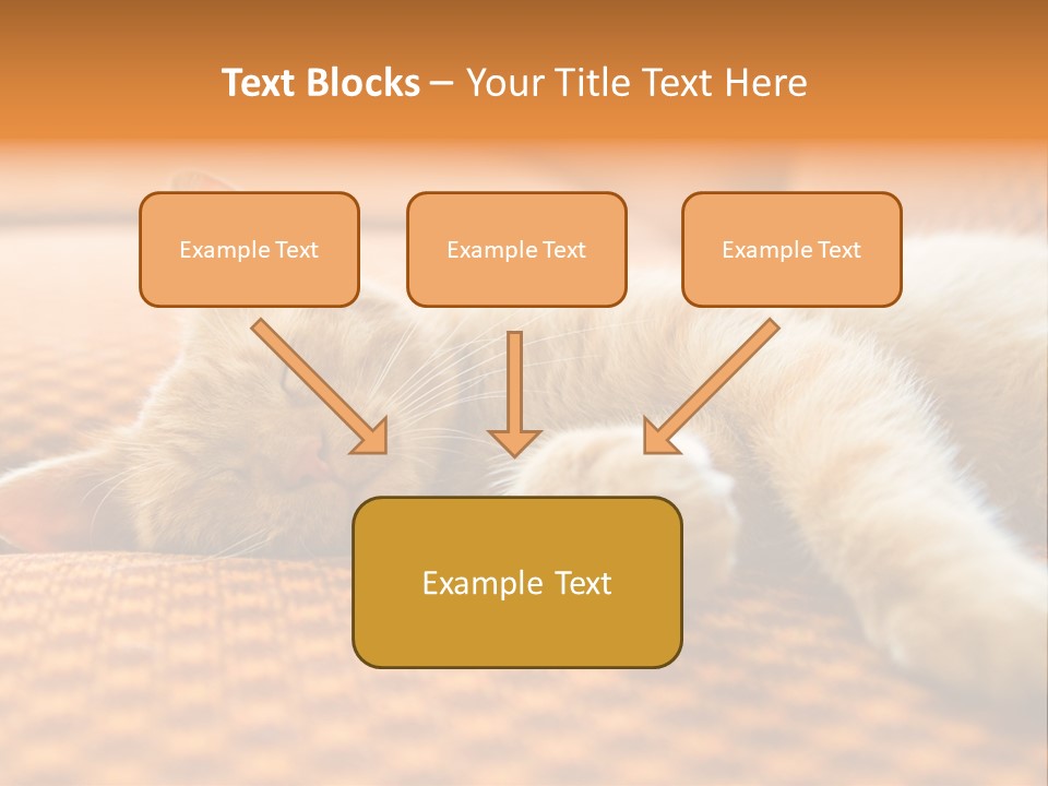 Yellow Divan Fur PowerPoint Template