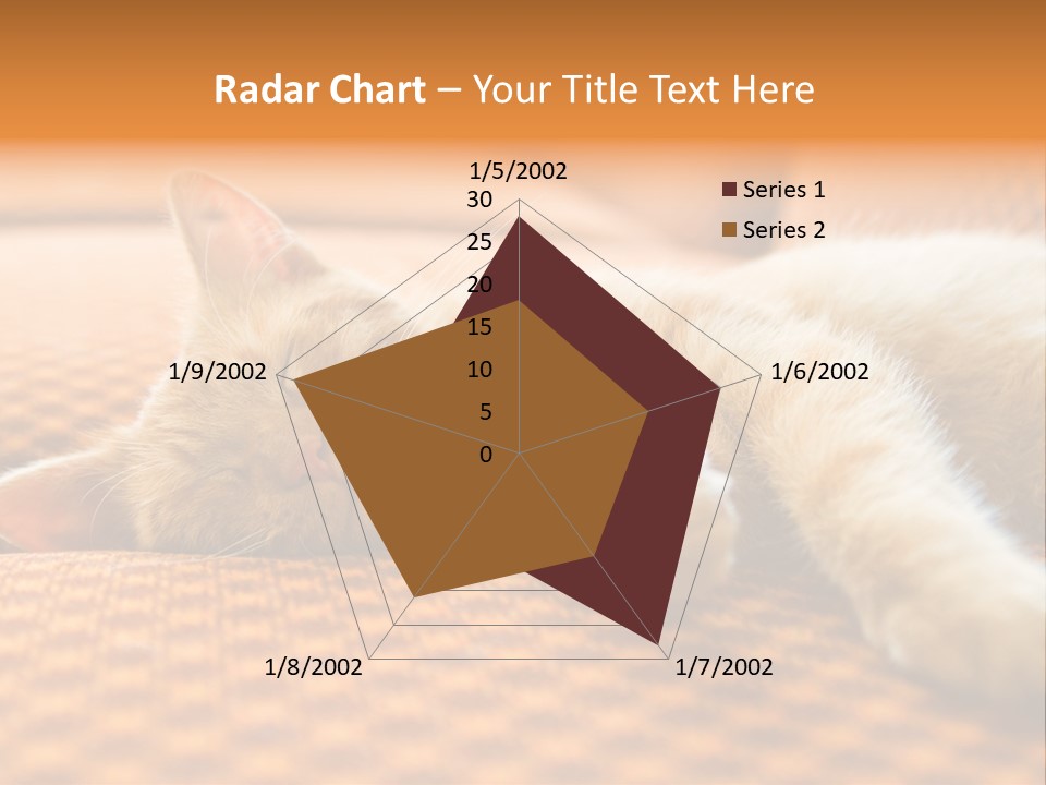 Yellow Divan Fur PowerPoint Template