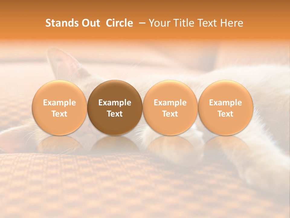 Yellow Divan Fur PowerPoint Template