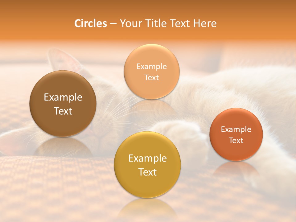 Yellow Divan Fur PowerPoint Template