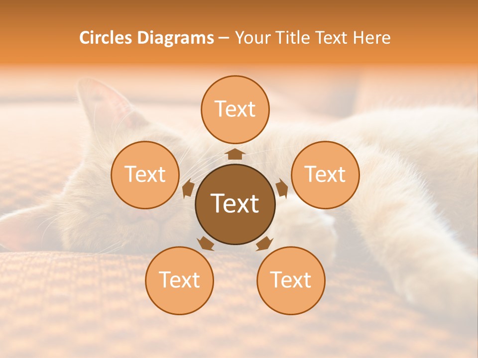 Yellow Divan Fur PowerPoint Template