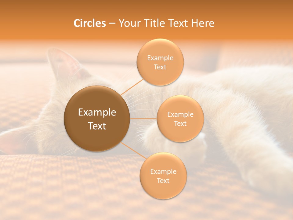 Yellow Divan Fur PowerPoint Template