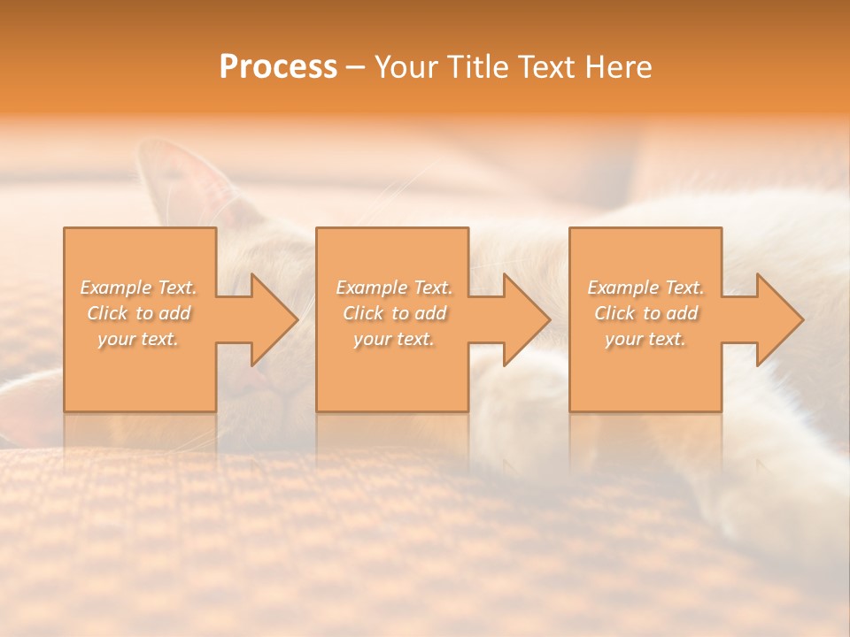 Yellow Divan Fur PowerPoint Template