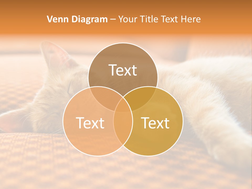 Yellow Divan Fur PowerPoint Template