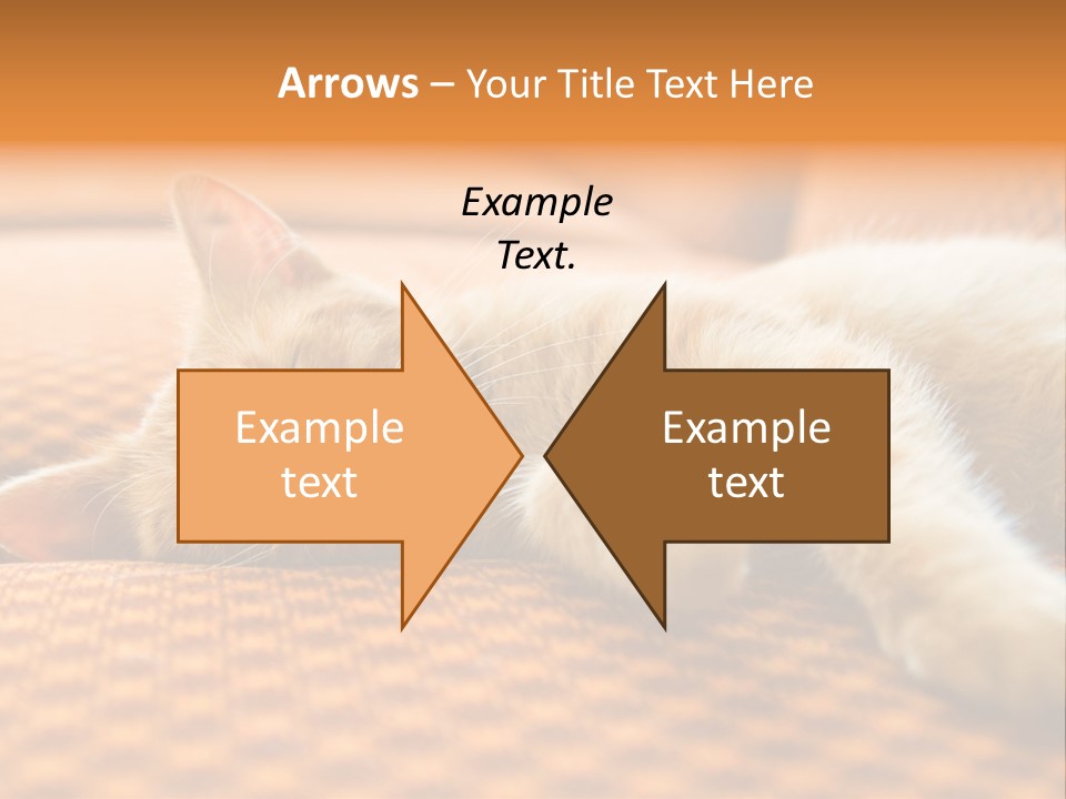 Yellow Divan Fur PowerPoint Template