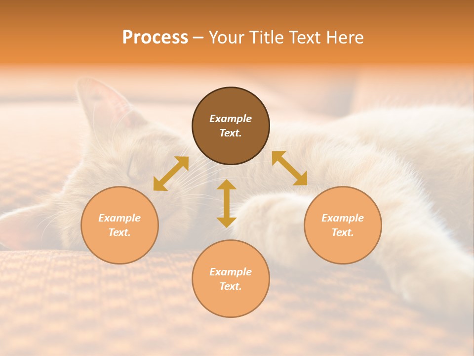 Yellow Divan Fur PowerPoint Template