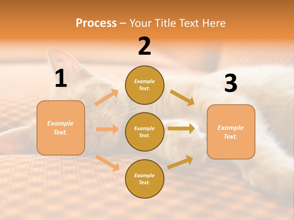 Yellow Divan Fur PowerPoint Template