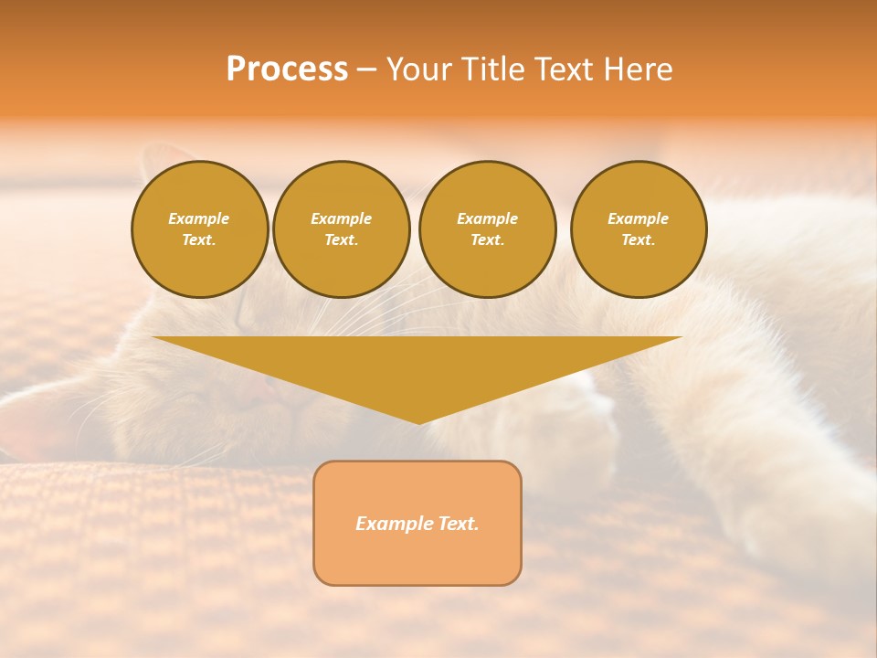 Yellow Divan Fur PowerPoint Template