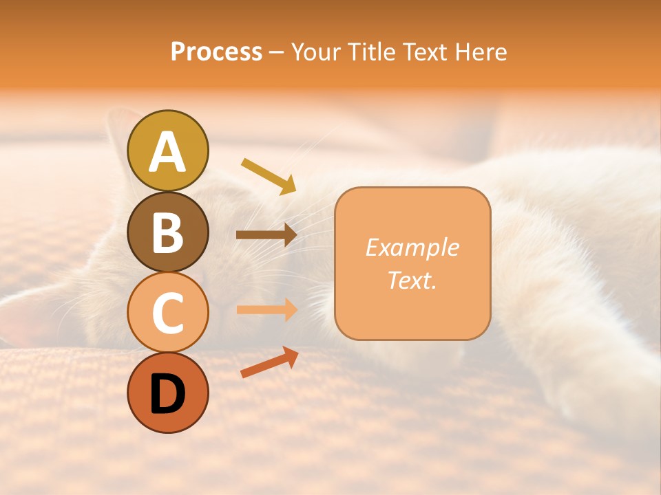 Yellow Divan Fur PowerPoint Template