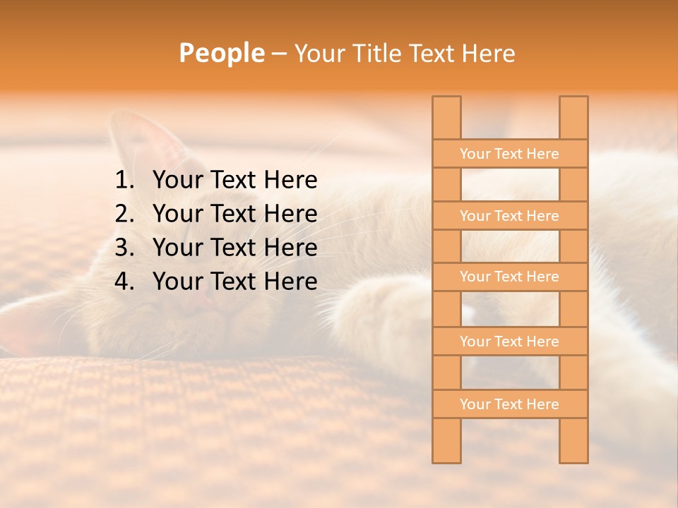 Yellow Divan Fur PowerPoint Template