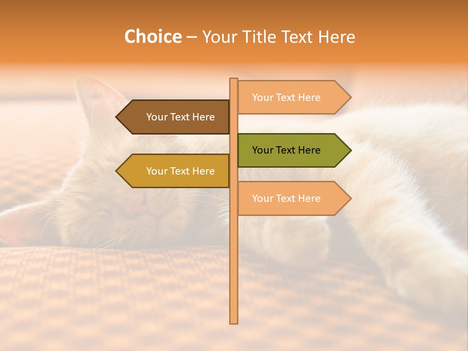 Yellow Divan Fur PowerPoint Template