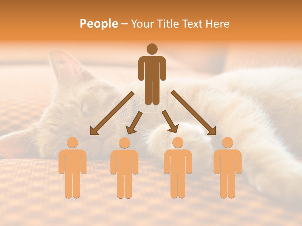 Yellow Divan Fur PowerPoint Template