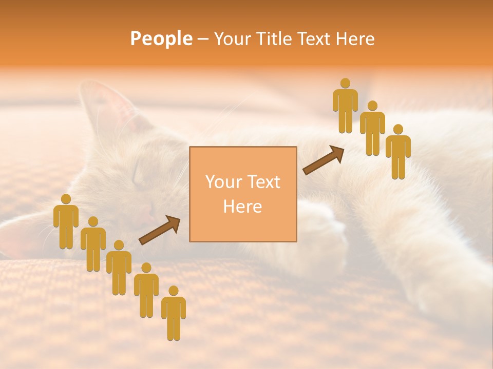 Yellow Divan Fur PowerPoint Template